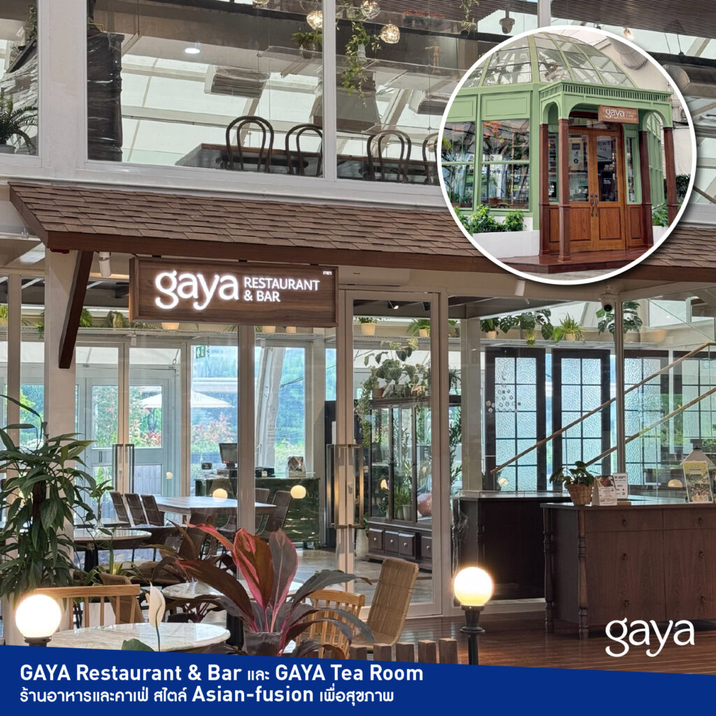 พื้นที่แห่งการใช้ชีวิต 11