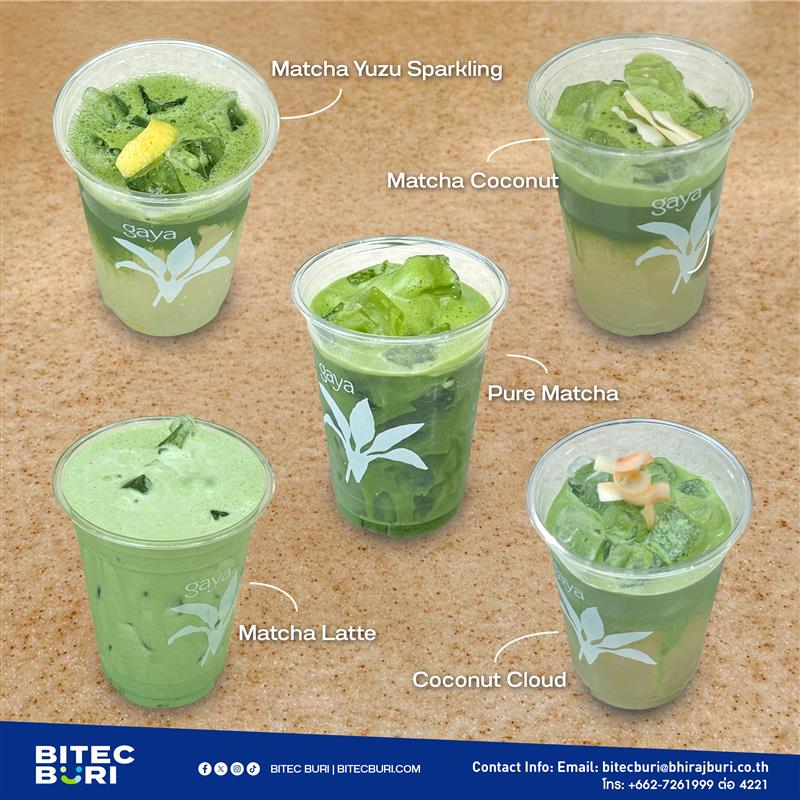 Matcha 02 2
