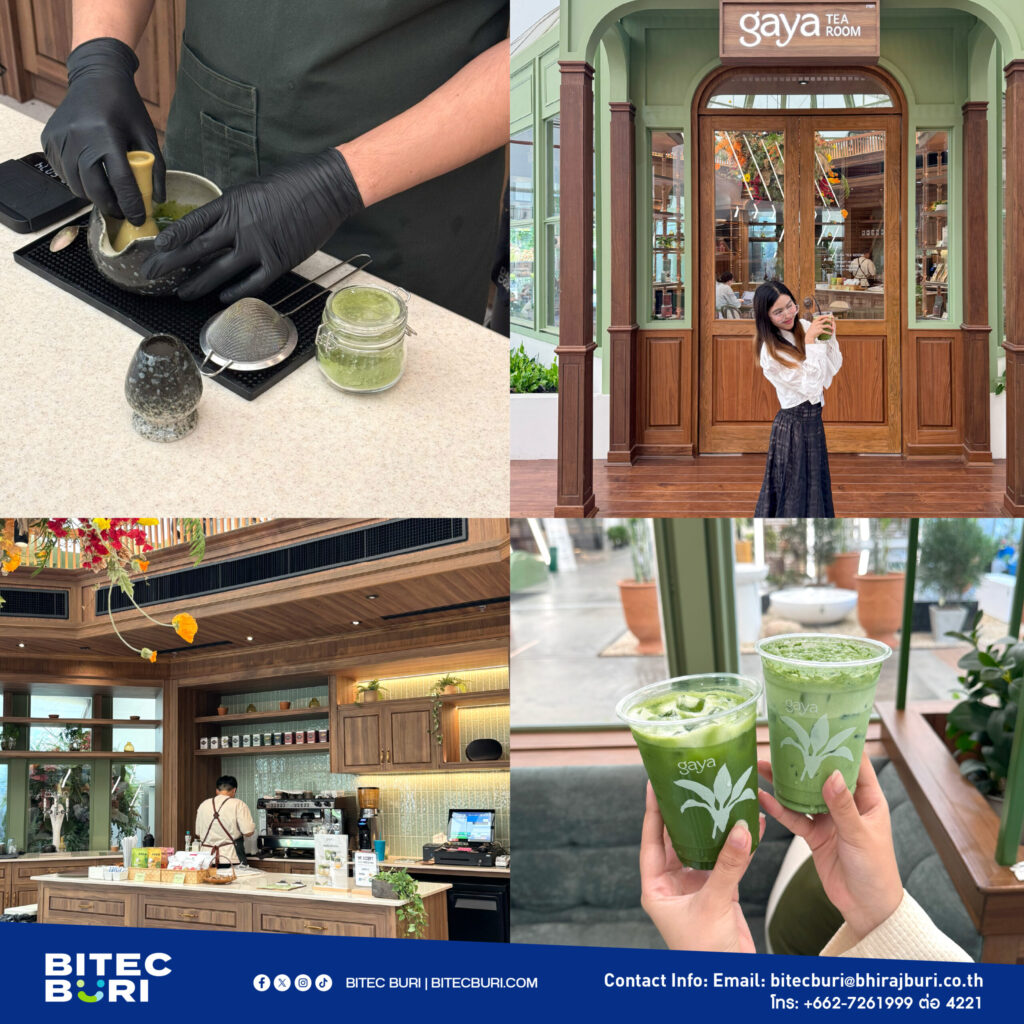 Matcha 05 1